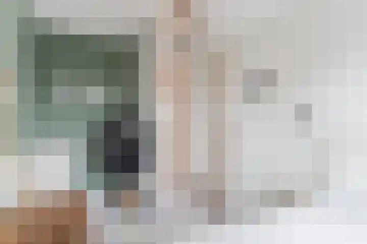 Hubertshoeve 23 Veghel thumbnail 26