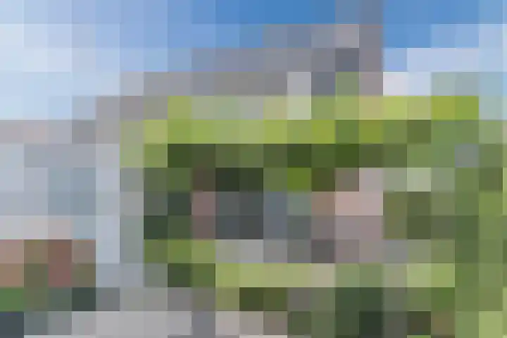 Hubertshoeve 23 Veghel thumbnail 35