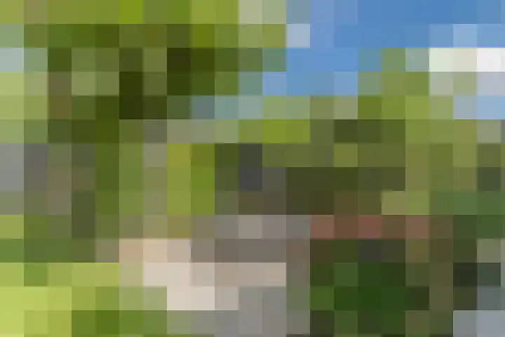 Hubertshoeve 23 Veghel thumbnail 37