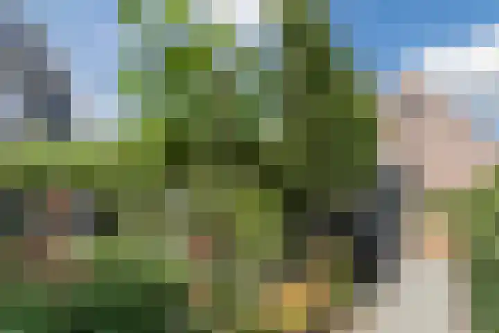 Hubertshoeve 23 Veghel thumbnail 38