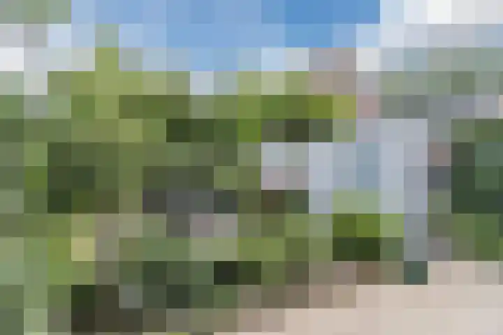 Hubertshoeve 23 Veghel thumbnail 40