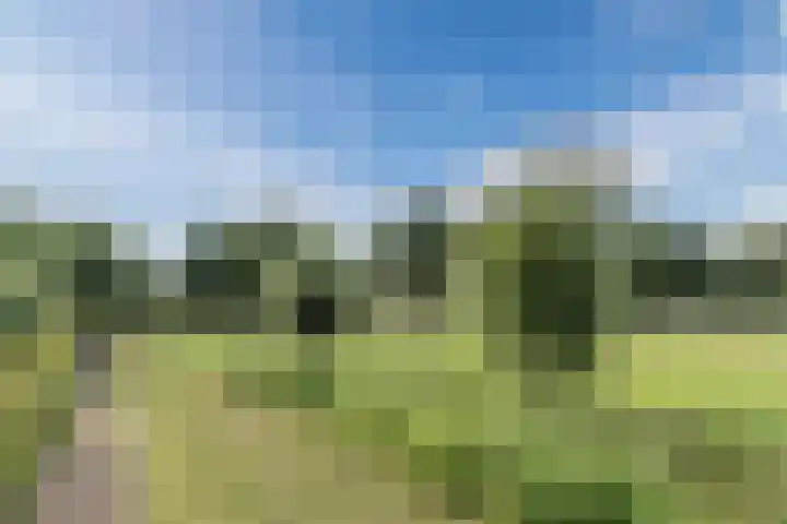 Hubertshoeve 23 Veghel thumbnail 47