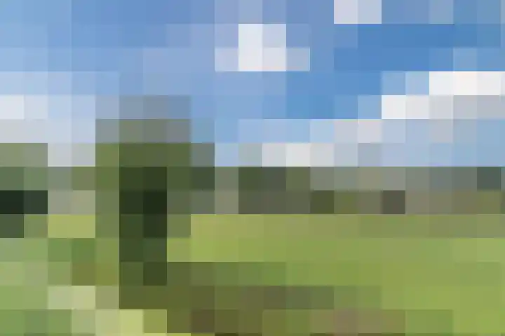 Hubertshoeve 23 Veghel thumbnail 48