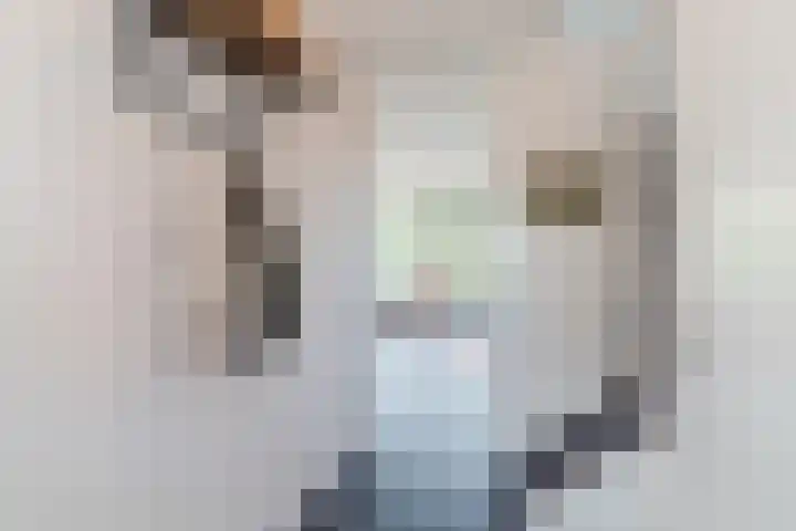 Hubertshoeve 23 Veghel thumbnail 8