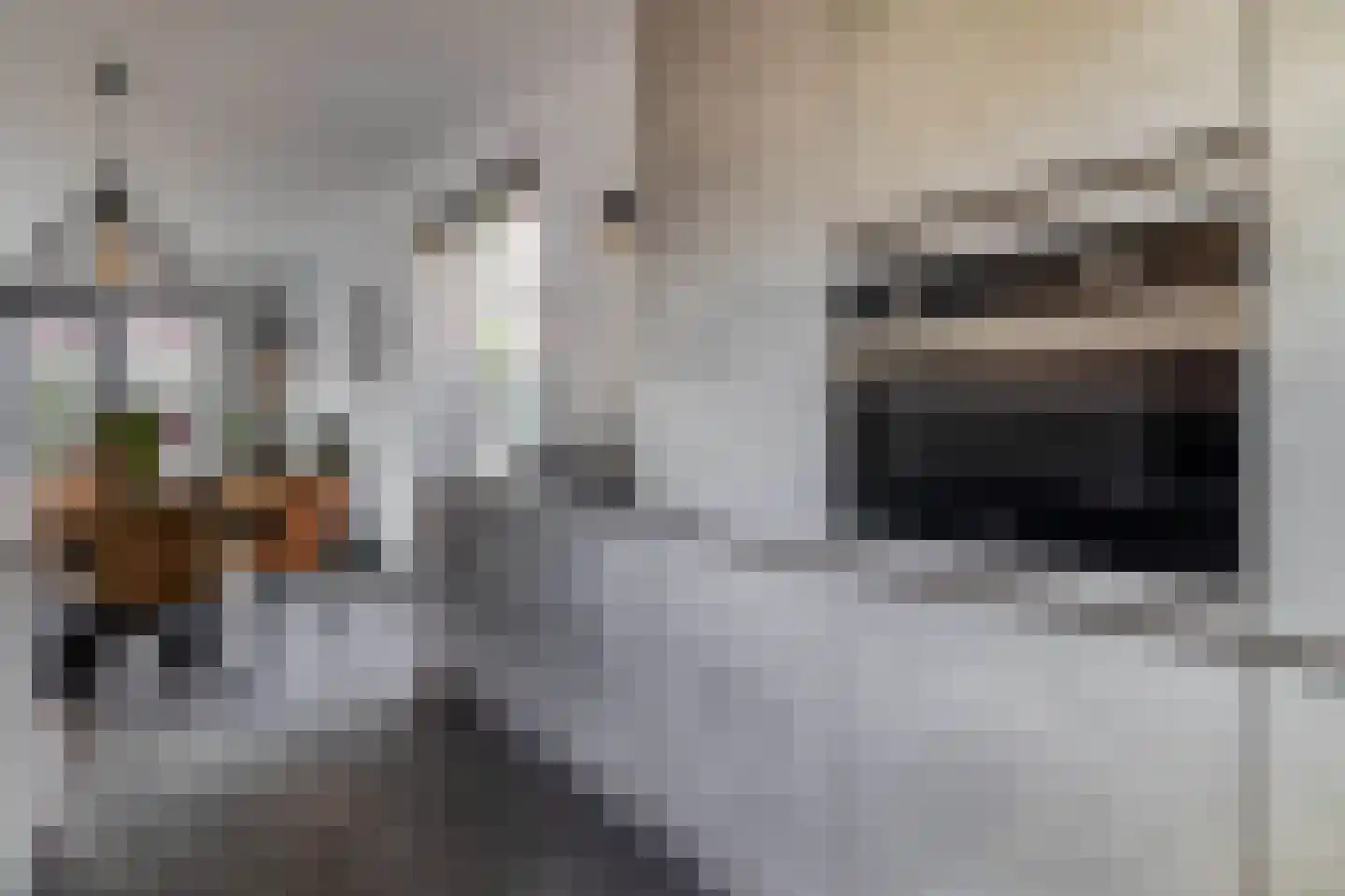 Hubertshoeve 25 Veghel thumbnail 12