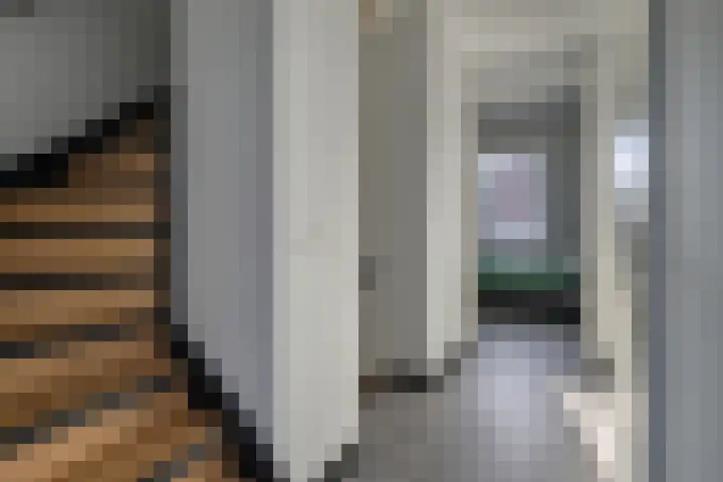 Hubertshoeve 25 Veghel thumbnail 22