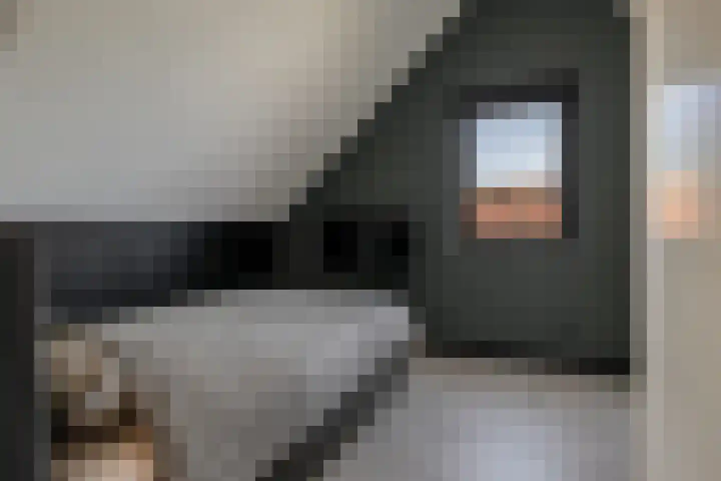 Hubertshoeve 25 Veghel thumbnail 24