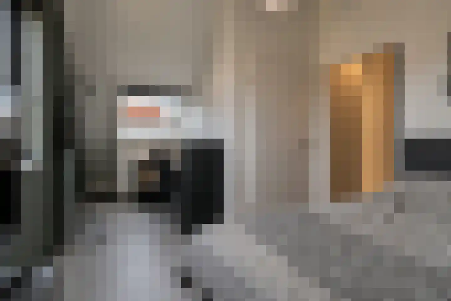 Hubertshoeve 25 Veghel thumbnail 26