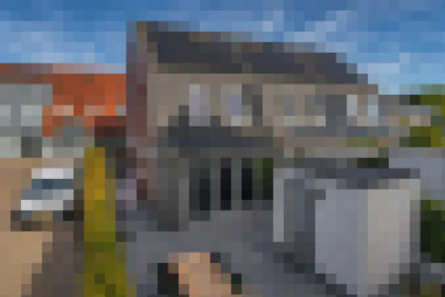 Hubertshoeve 25 Veghel thumbnail 32