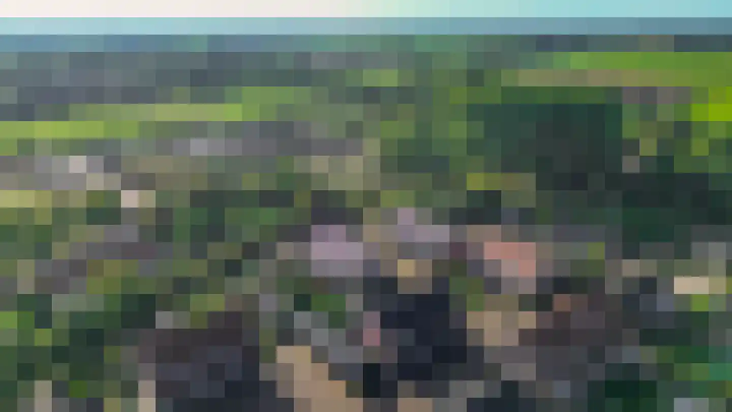 Hubertshoeve 25 Veghel thumbnail 37