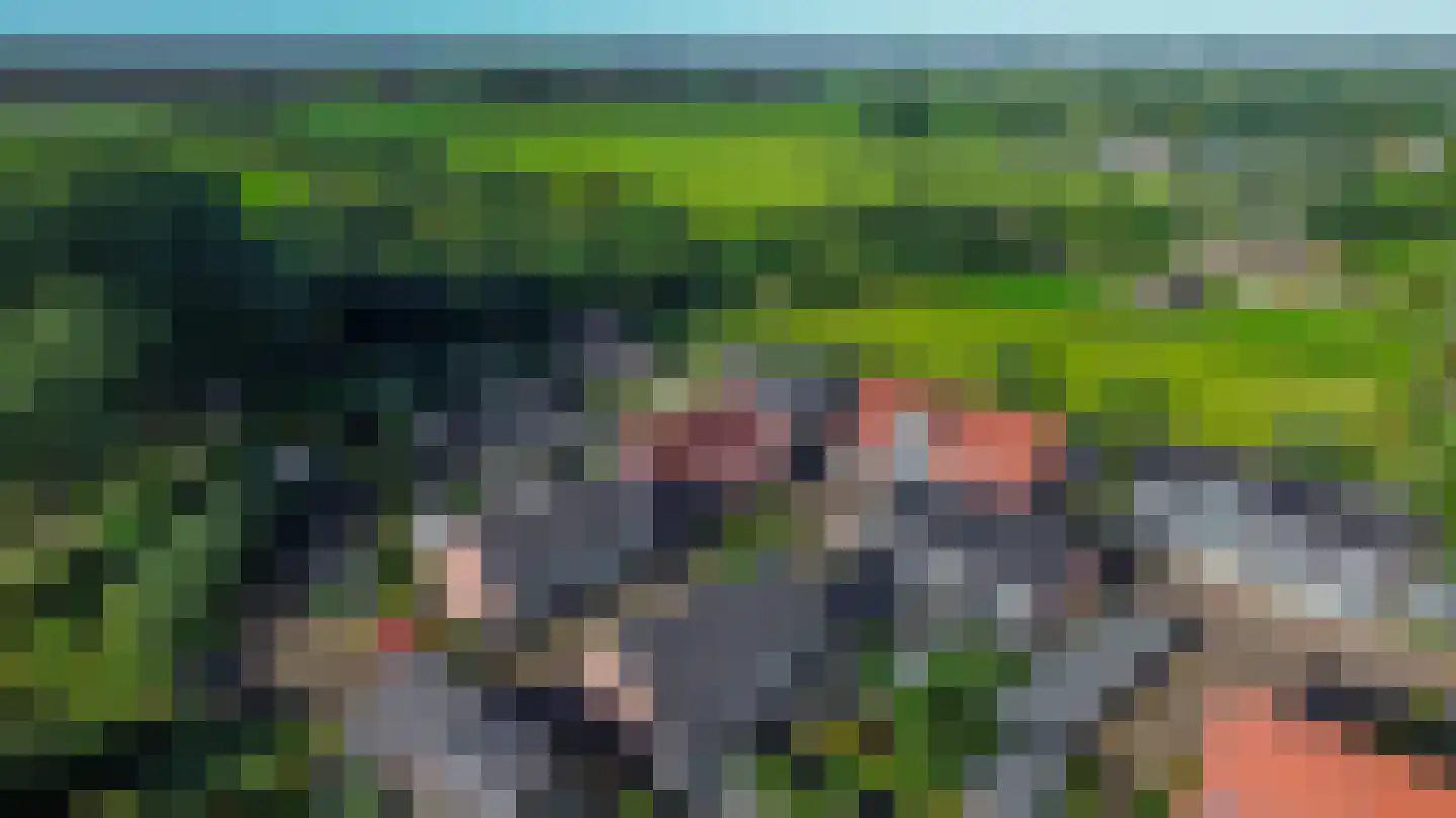 Hubertshoeve 25 Veghel thumbnail 38