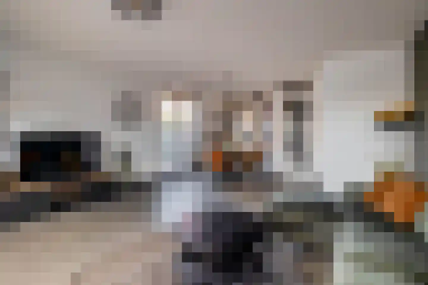 Hubertshoeve 25 Veghel thumbnail 4