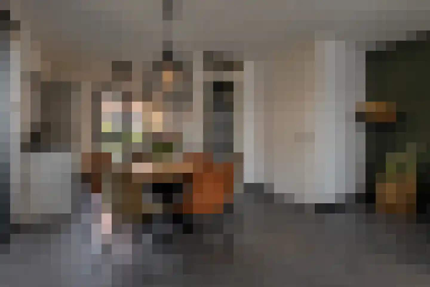 Hubertshoeve 25 Veghel thumbnail 5
