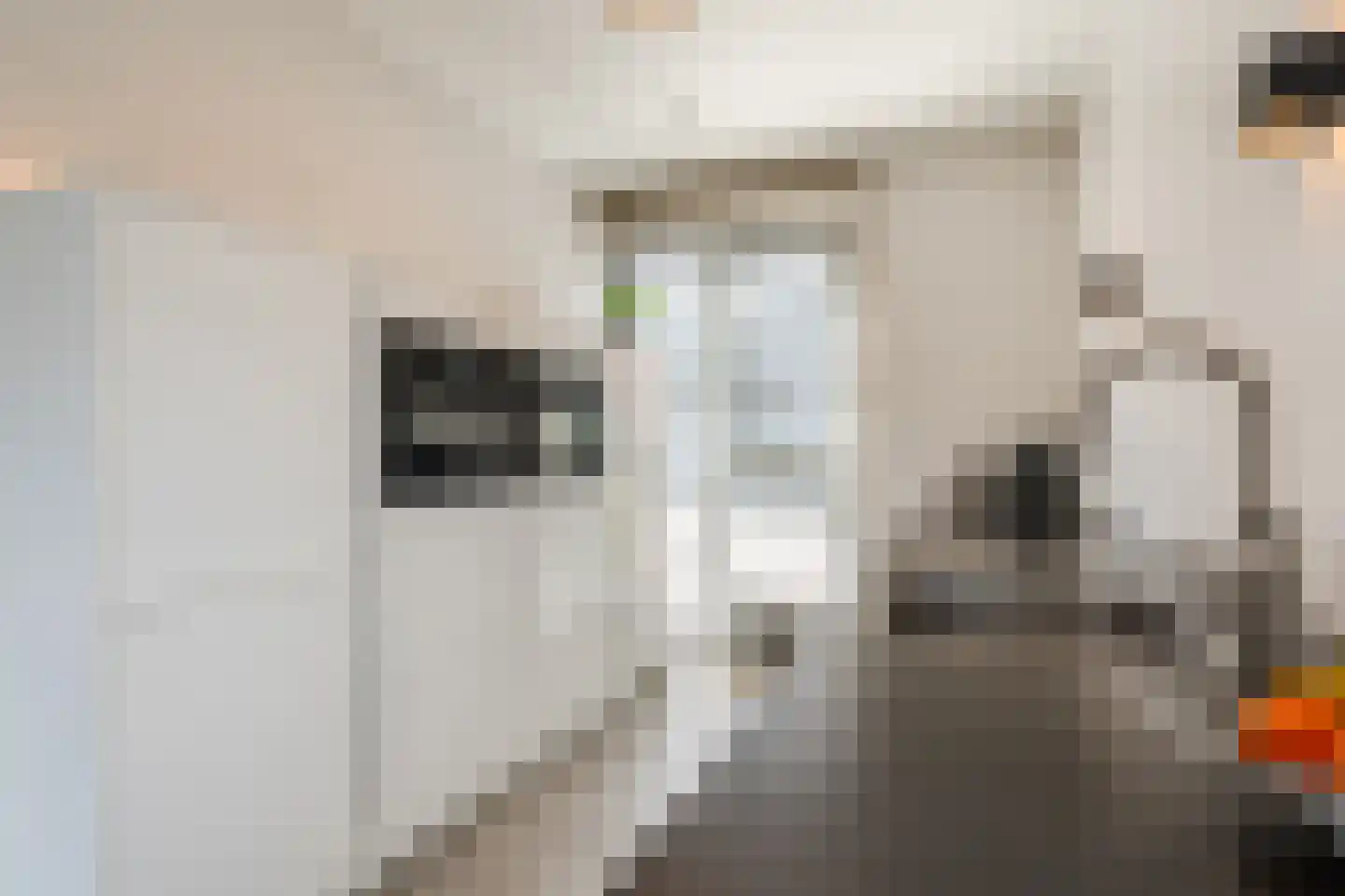 Hubertshoeve 26 Veghel thumbnail 17