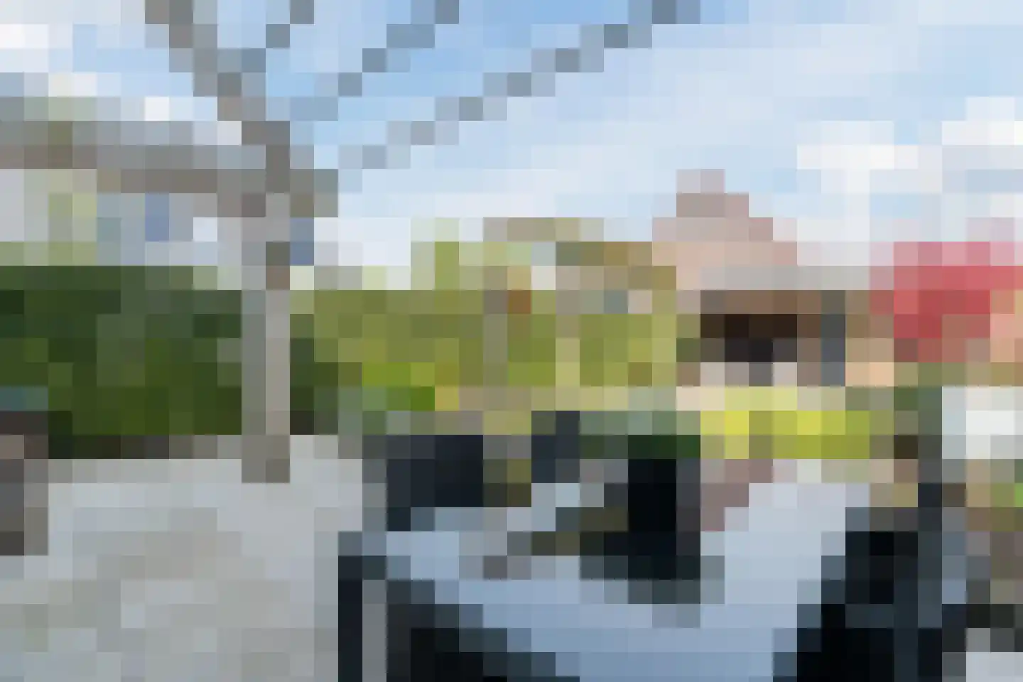 Hubertshoeve 26 Veghel thumbnail 33
