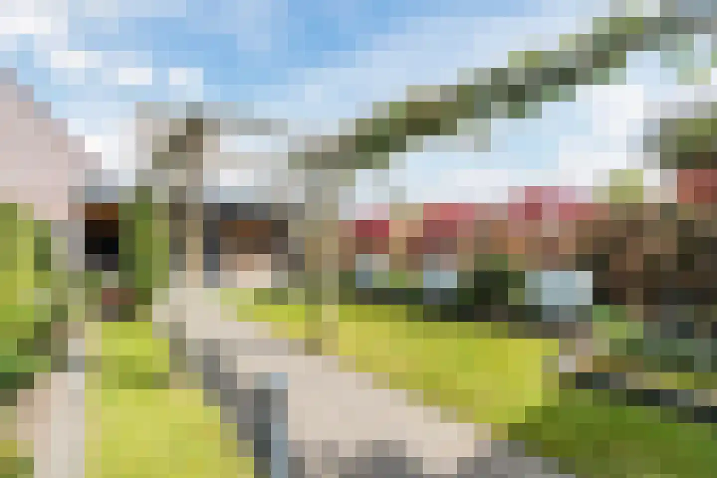 Hubertshoeve 26 Veghel thumbnail 34