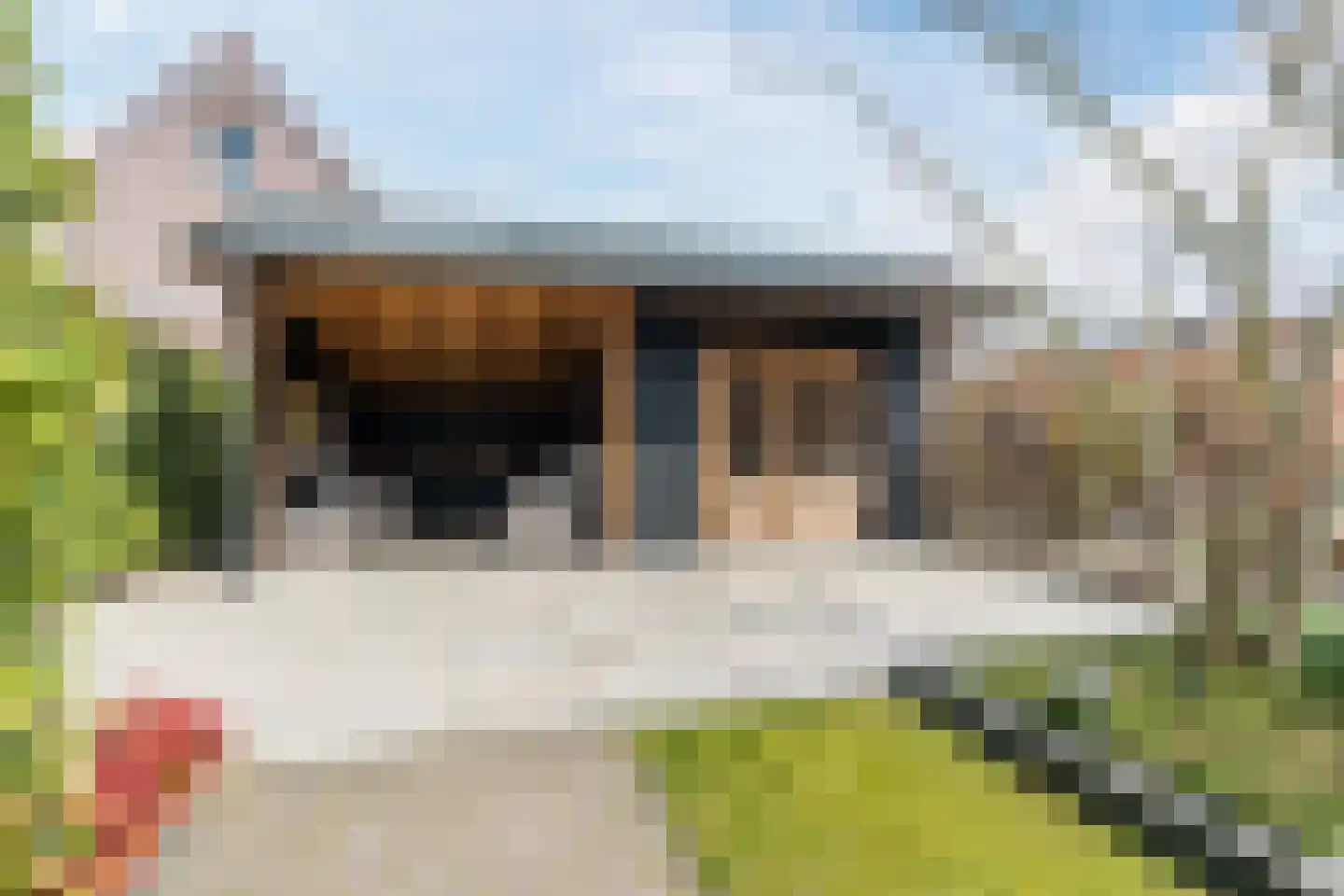 Hubertshoeve 26 Veghel thumbnail 35