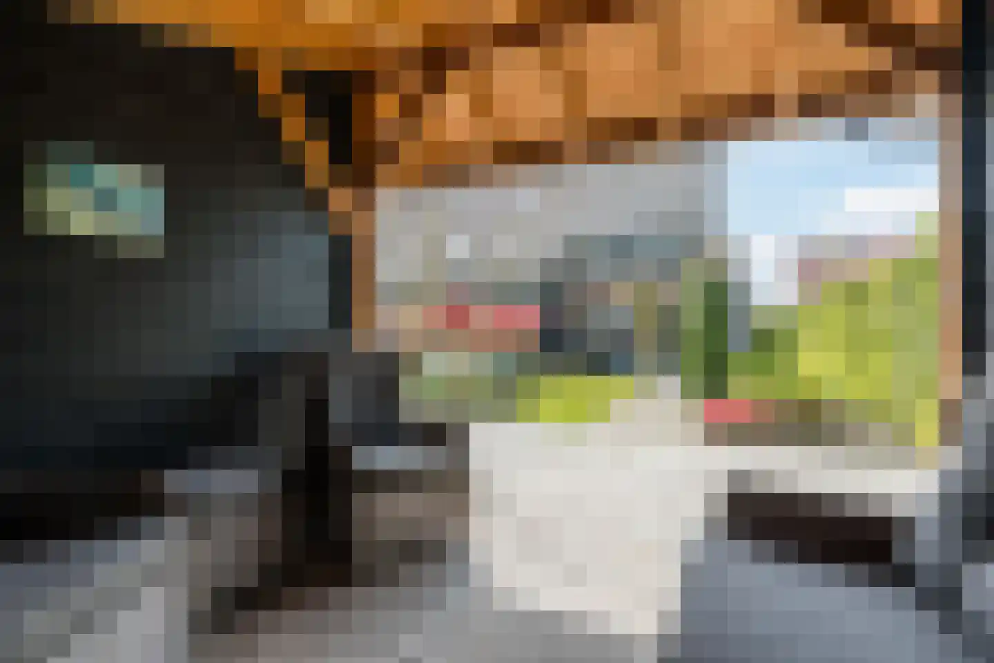 Hubertshoeve 26 Veghel thumbnail 37