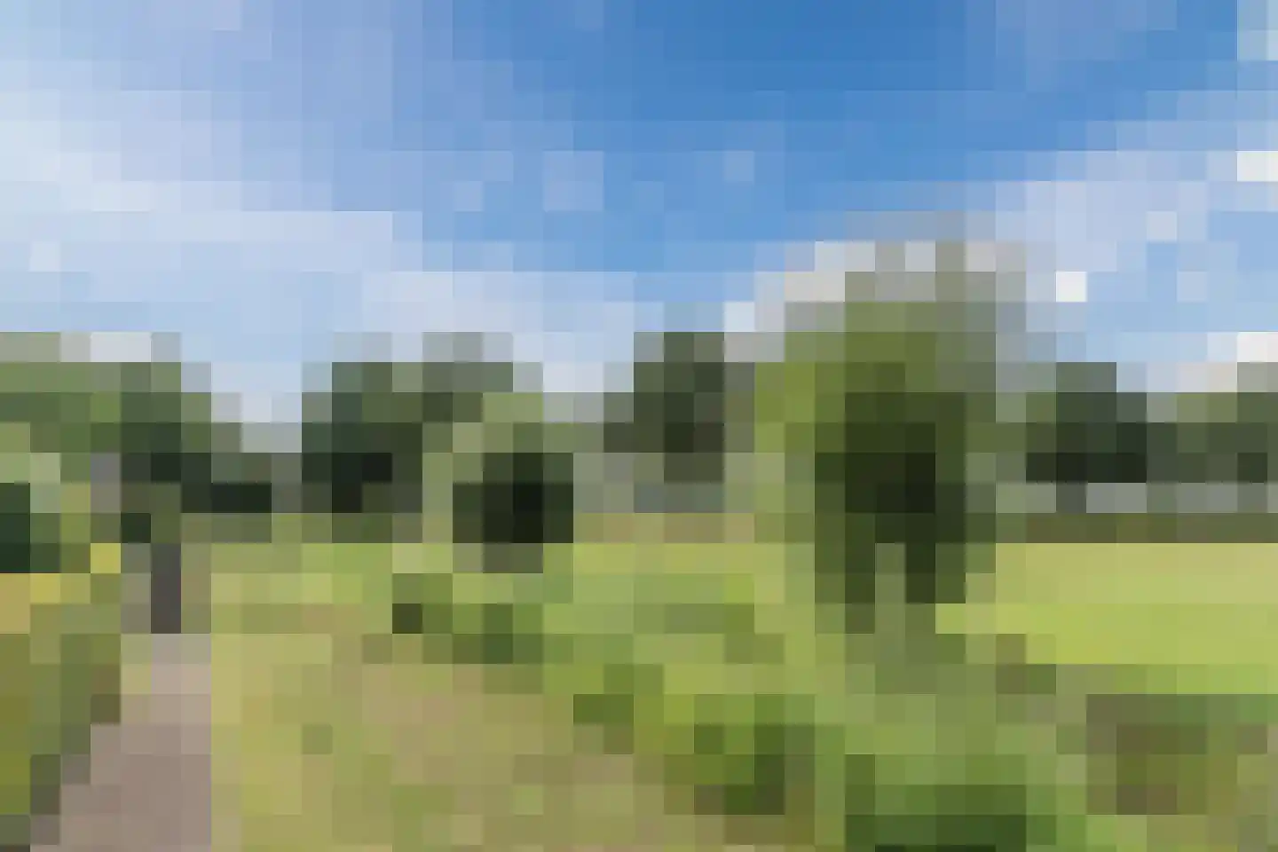 Hubertshoeve 26 Veghel thumbnail 43