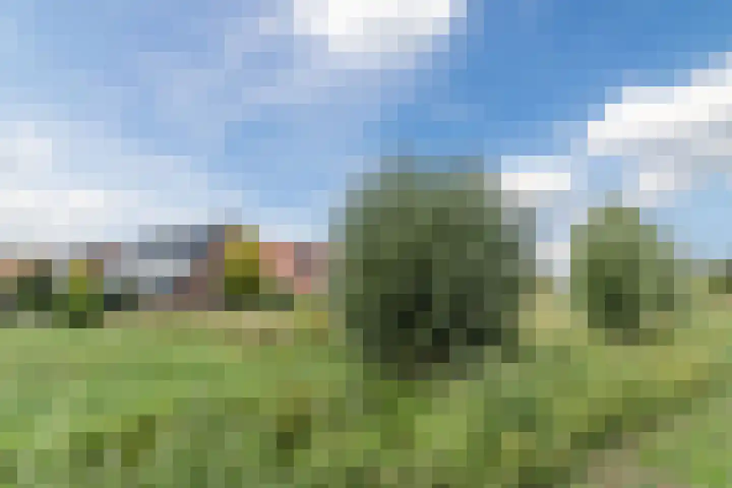 Hubertshoeve 26 Veghel thumbnail 44