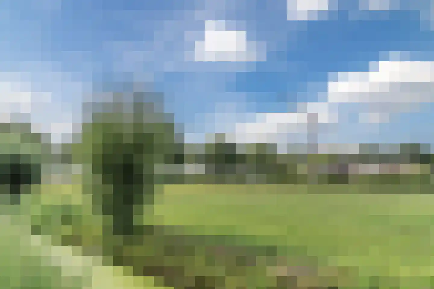 Hubertshoeve 26 Veghel thumbnail 45