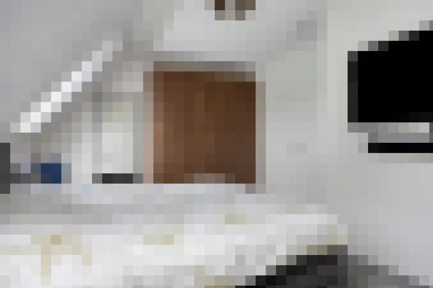 Hubertshoeve 33 Veghel thumbnail 15