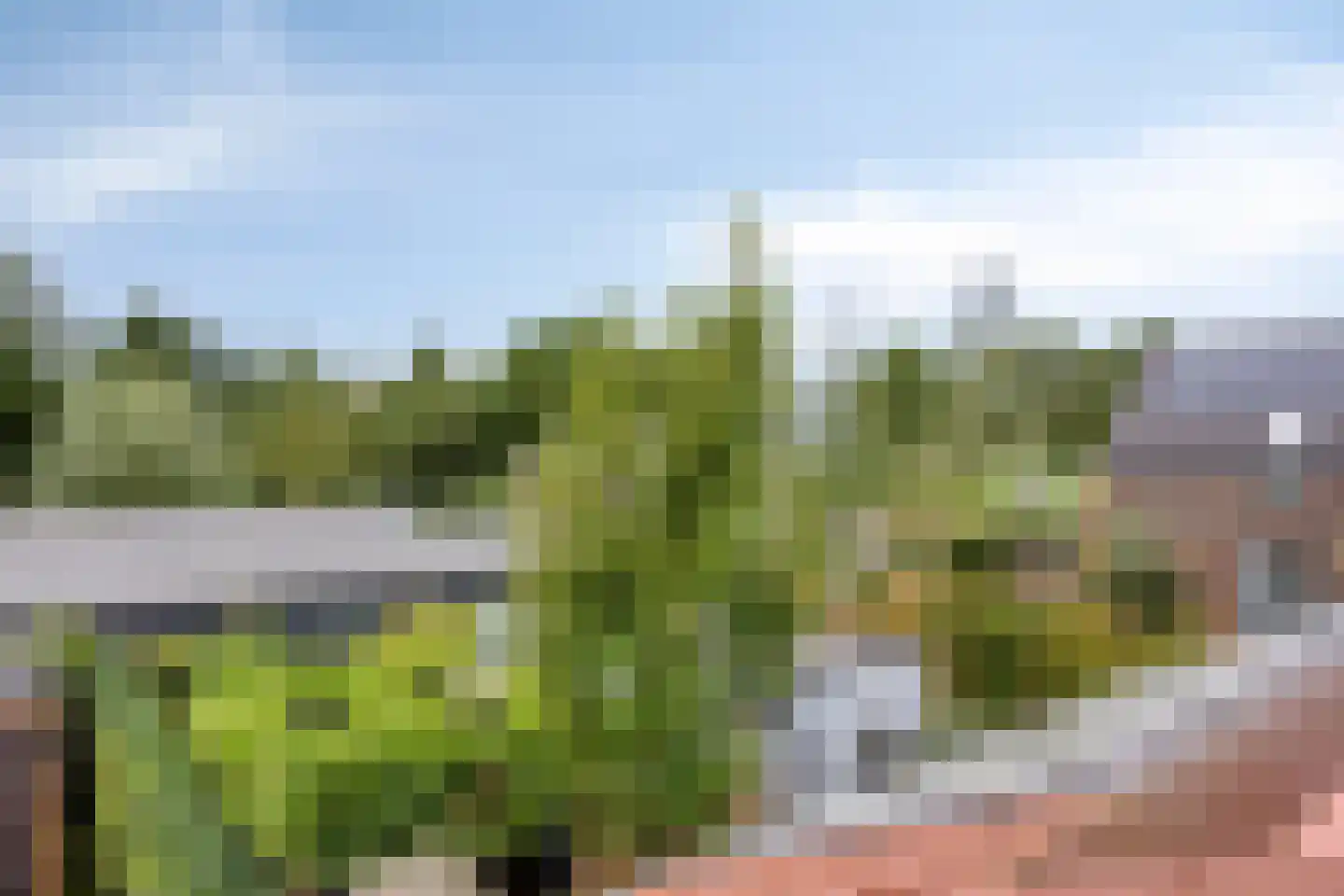Hubertshoeve 33 Veghel thumbnail 16