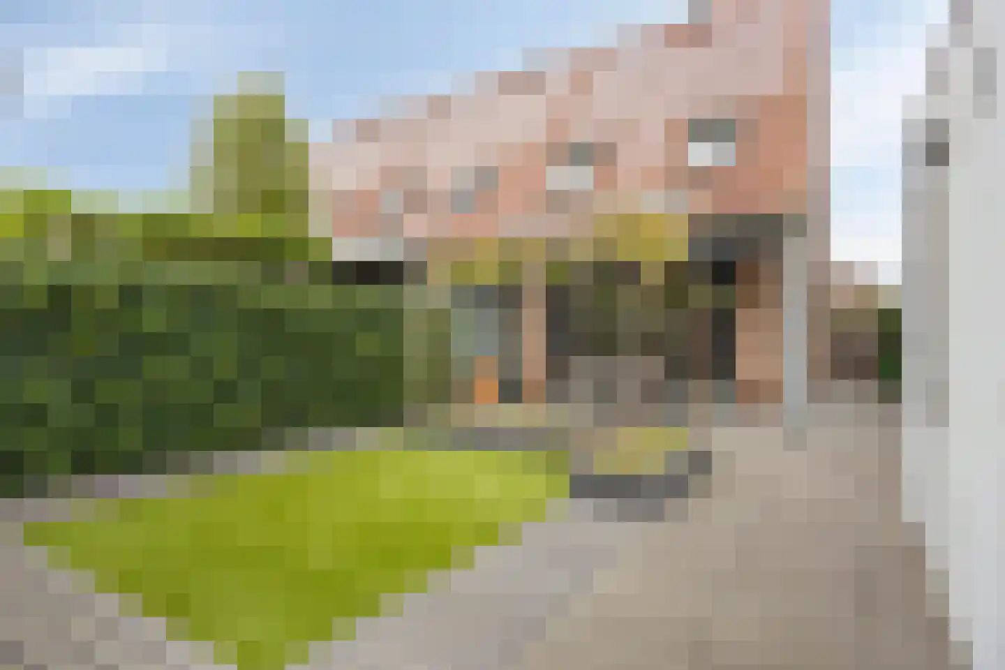 Hubertshoeve 33 Veghel thumbnail 27