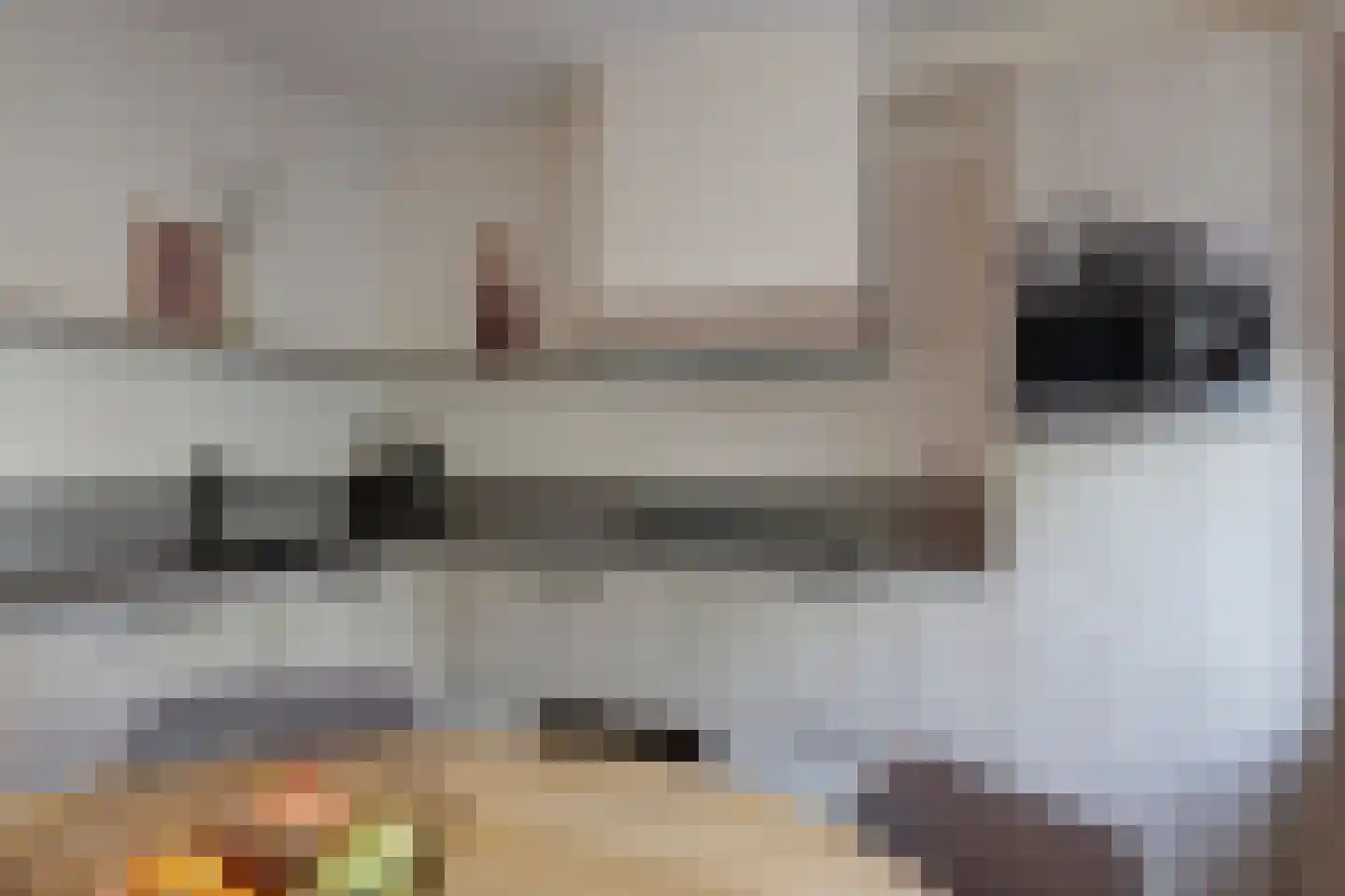 Hubertus Schreudershof 16 Veen thumbnail 12