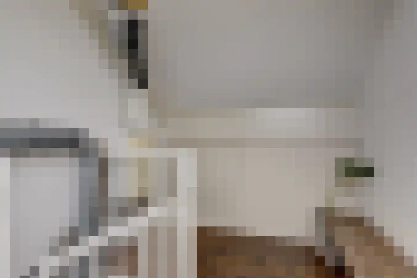 Hubertus Schreudershof 16 Veen thumbnail 24