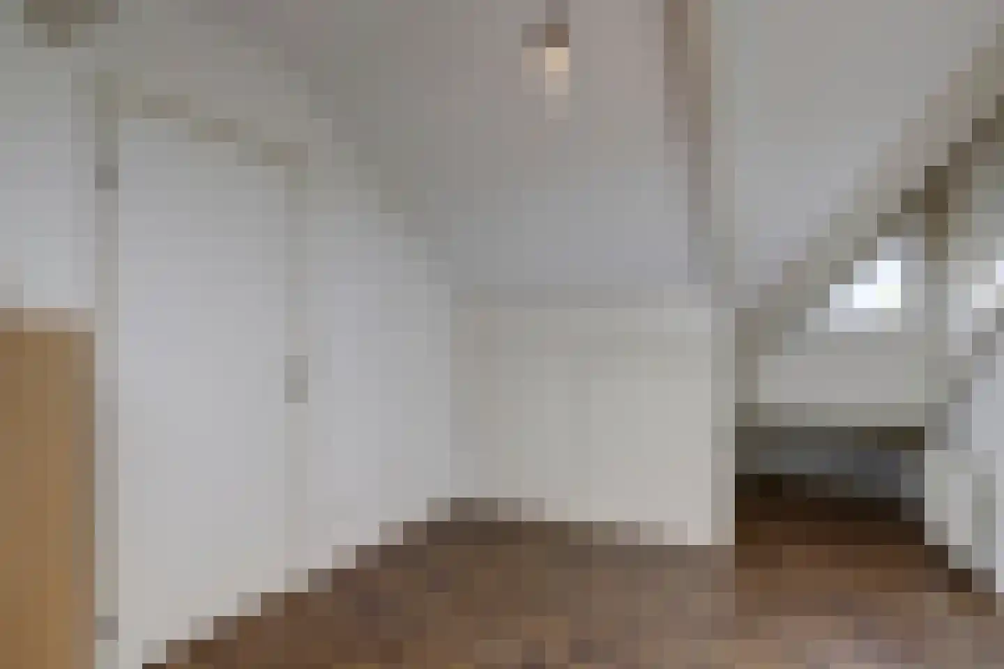 Hubertus Schreudershof 16 Veen thumbnail 25