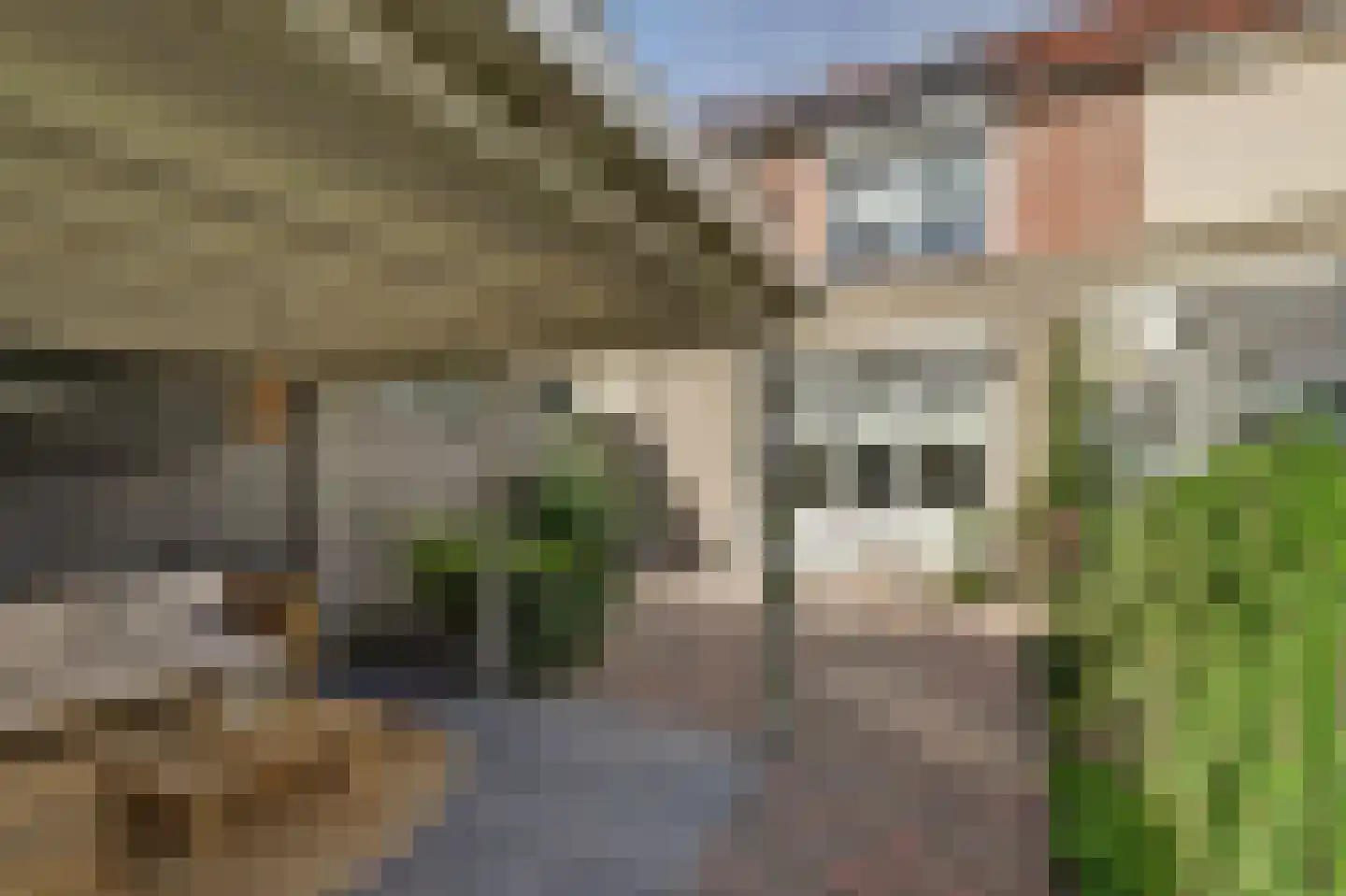 Hubertus Schreudershof 16 Veen thumbnail 28