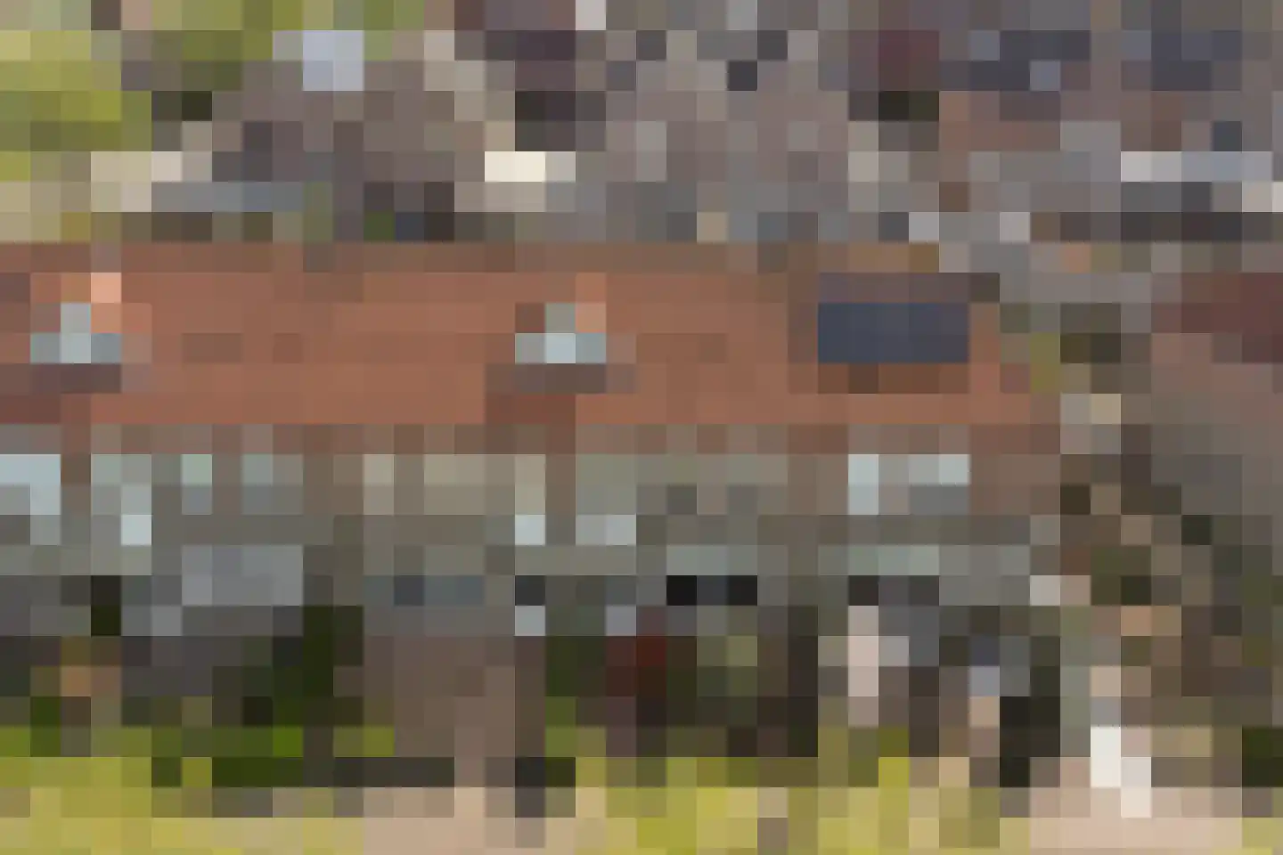 Hubertus Schreudershof 16 Veen thumbnail 32