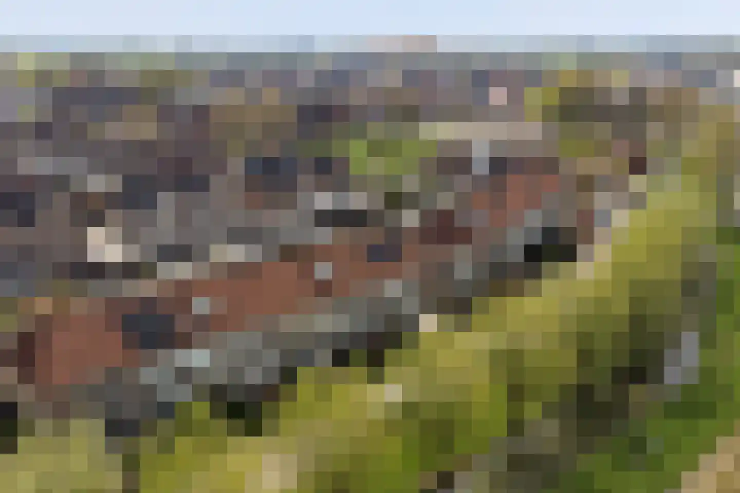 Hubertus Schreudershof 16 Veen thumbnail 33