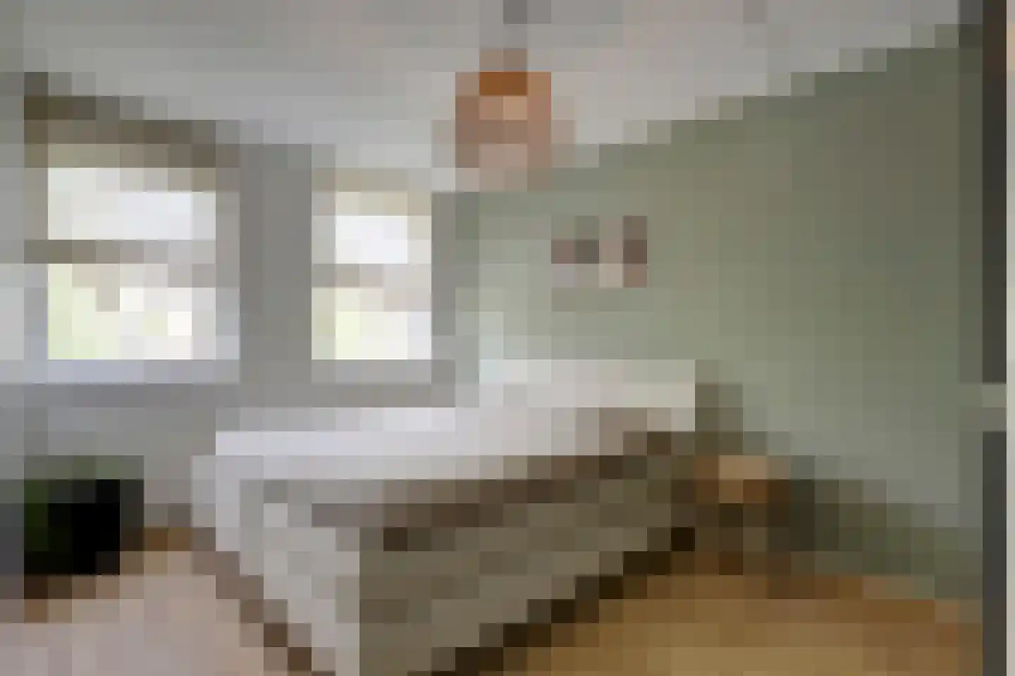 Hubertus Schreudershof 16 Veen thumbnail 4