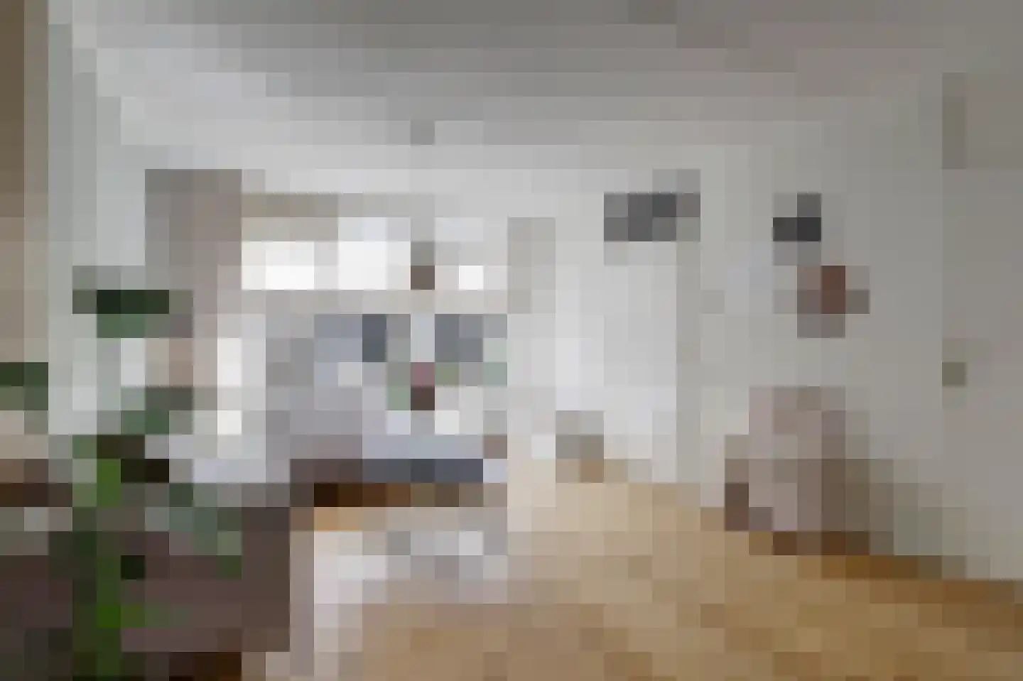 Hubertus Schreudershof 16 Veen thumbnail 9