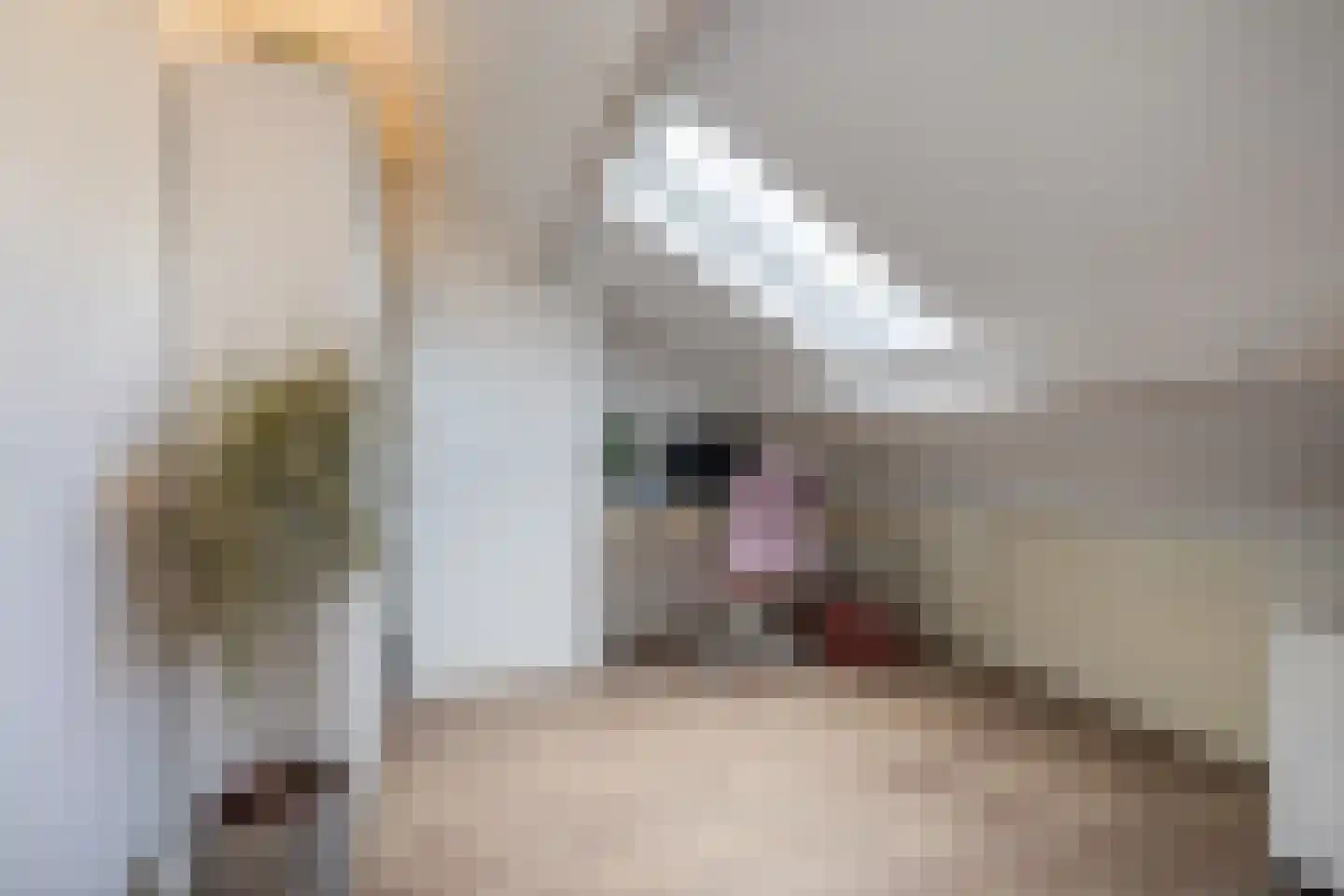 Hubertus van der Clusenstraat 1 Waalre thumbnail 30