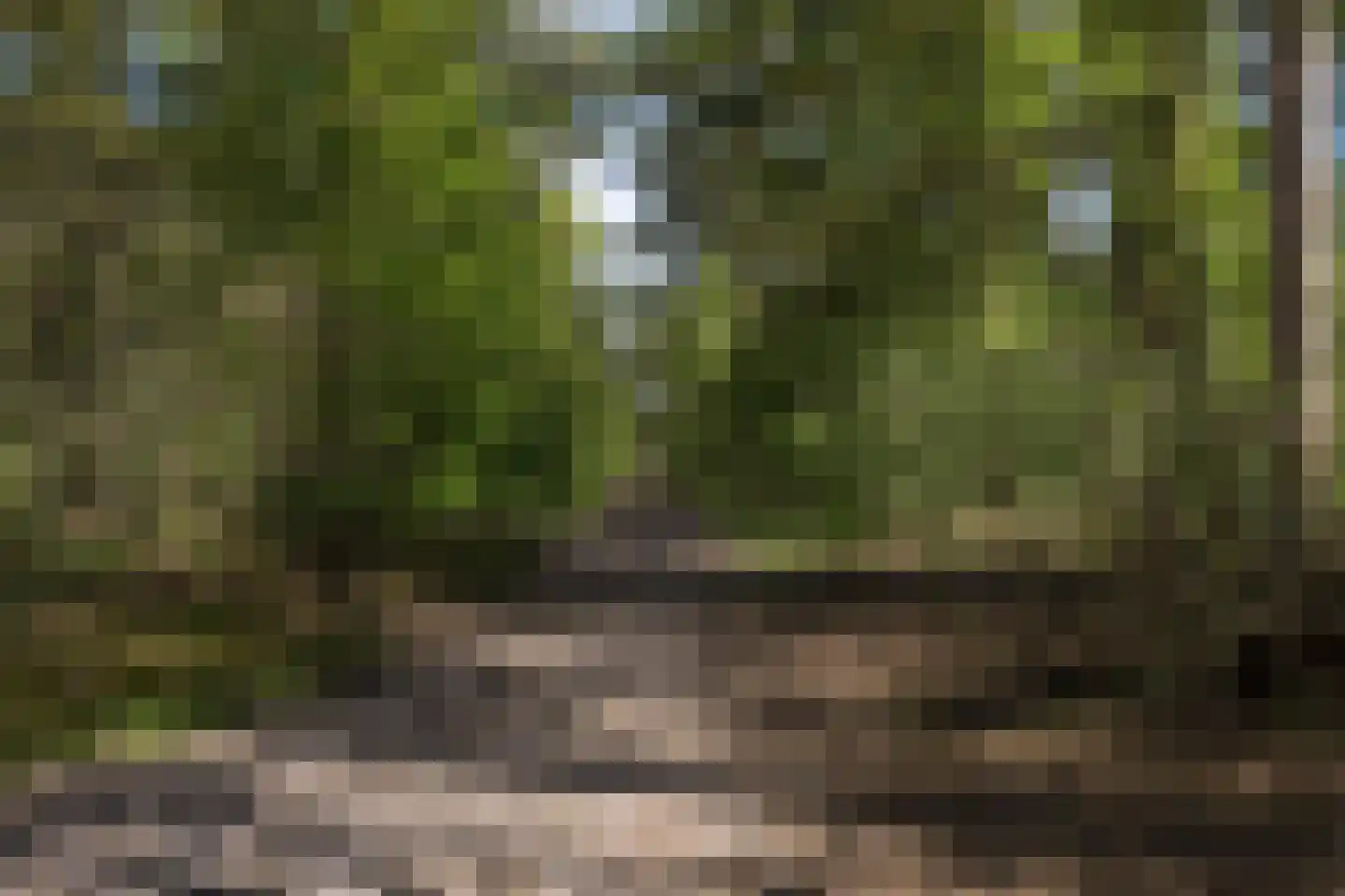 Hubertus van der Clusenstraat 1 Waalre thumbnail 52
