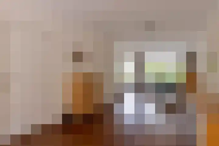 Hubertus van der Clusenstraat 6 Waalre thumbnail 11