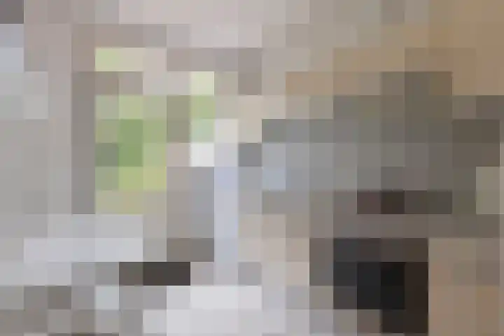 Hubertus van der Clusenstraat 6 Waalre thumbnail 12