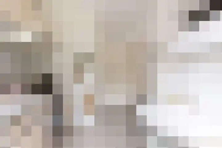 Hubertus van der Clusenstraat 6 Waalre thumbnail 13