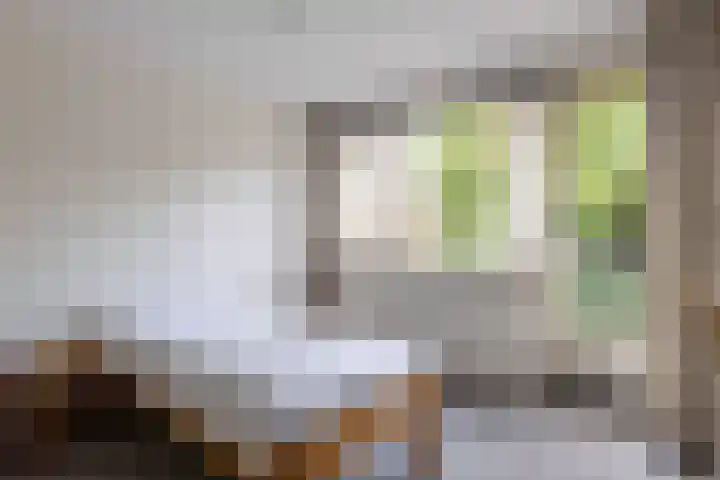 Hubertus van der Clusenstraat 6 Waalre thumbnail 15
