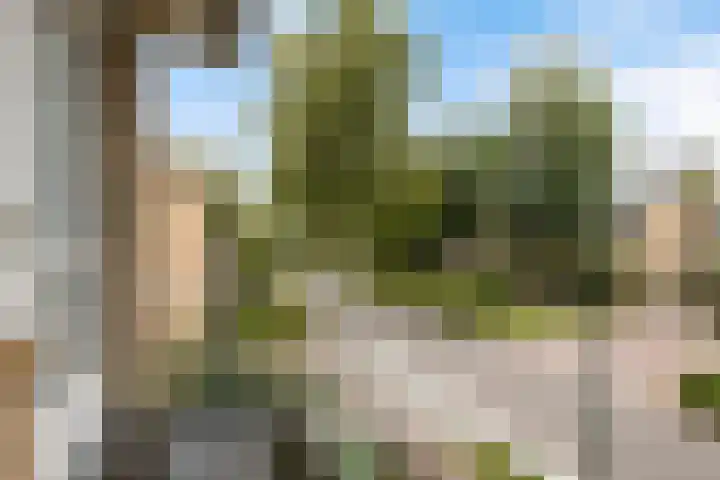 Hubertus van der Clusenstraat 6 Waalre thumbnail 22