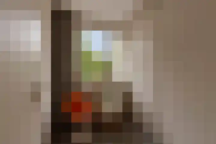 Hubertus van der Clusenstraat 6 Waalre thumbnail 24