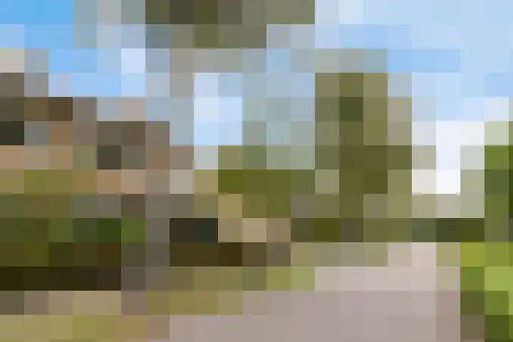 Hubertus van der Clusenstraat 6 Waalre thumbnail 30