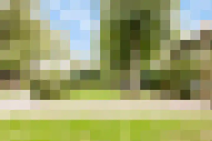 Hubertus van der Clusenstraat 6 Waalre thumbnail 31