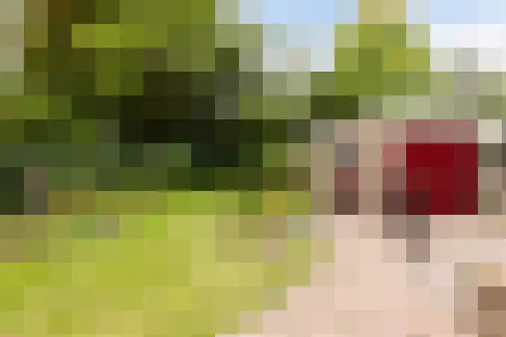 Hubertus van der Clusenstraat 6 Waalre thumbnail 5