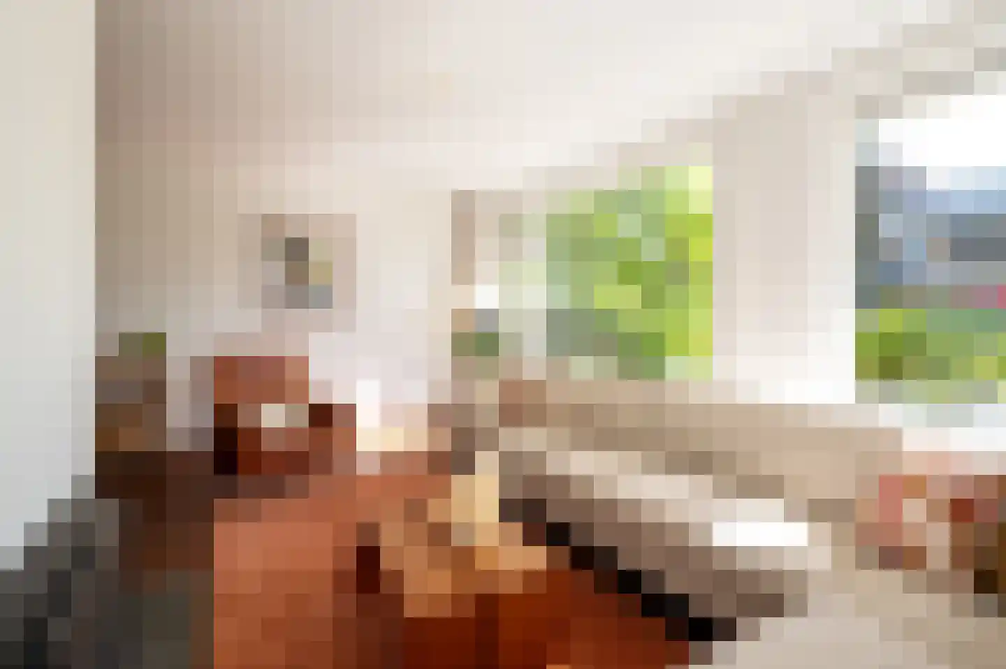 Hubertus van der Clusenstraat 8 Waalre thumbnail 11