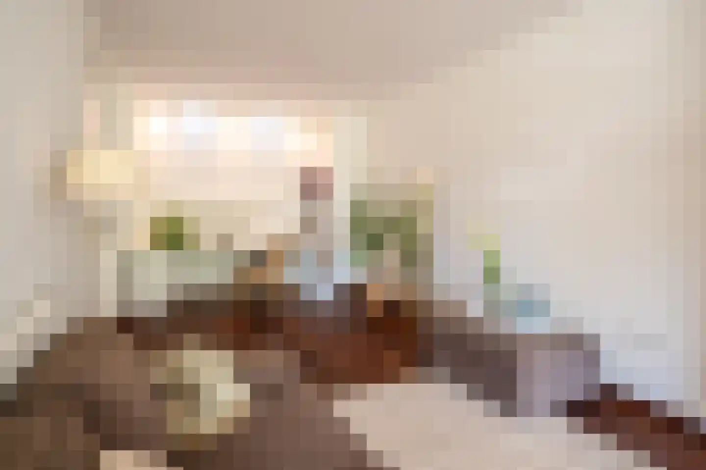 Hubertus van der Clusenstraat 8 Waalre thumbnail 14