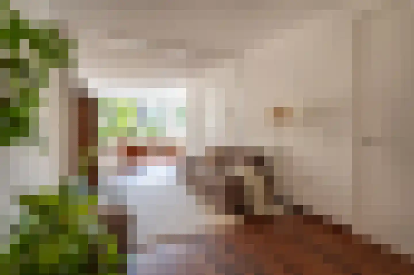 Hubertus van der Clusenstraat 8 Waalre thumbnail 15